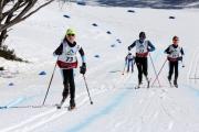 2019 Australian Junior Distance XC Ski Championships Image