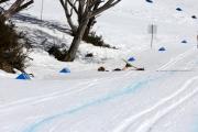 2019 Australian Junior Distance XC Ski Championships Image