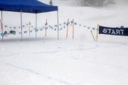 2019 Australian XC Ski Open Sprint Championship Image