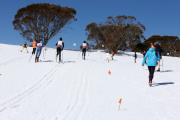 2019 Australian Junior Distance XC Ski Championships Image