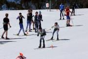 2019 Australian Junior Distance XC Ski Championships Image