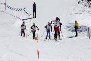 2019 Australian Junior Distance XC Ski Championships Image