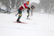 2019 Australian XC Ski Open Sprint Championship Image