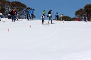 2019 Australian Junior Distance XC Ski Championships Image