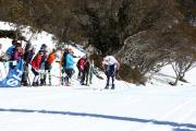 2019 Australian Junior Distance XC Ski Championships Image