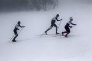 2019 Australian XC Ski Open Sprint Championship Image