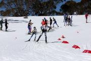 2019 Australian Junior Distance XC Ski Championships Image