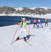 Ronis-O2 Tank-bandages-Hoppett Tragic Image