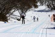 2019 Australian Junior Distance XC Ski Championships Image