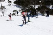 2019 Australian Junior Distance XC Ski Championships Image