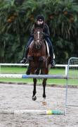 Show Jumping-Centennial Park-Chloe tames beast of a horse Image