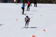 2019 Australian Junior Distance XC Ski Championships Image