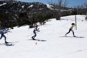 2019 Australian XC Junior Sprint Championship-Falls Creek Image