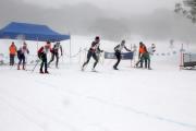 2019 Australian XC Ski Open Sprint Championship Image