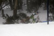 2019 Australian XC Ski Open Sprint Championship Image