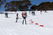 2019 Australian Junior Distance XC Ski Championships Image
