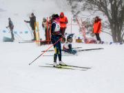 2019 Australian XC Ski Open Sprint Championship Image