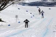 2019 Australian Junior Distance XC Ski Championships Image