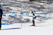 2019 Australian XC Junior Sprint Championship-Falls Creek Image