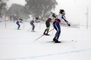 2019 Australian XC Ski Open Sprint Championship Image