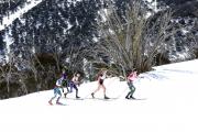 2019 Australian Junior Distance XC Ski Championships Image