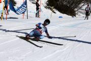 2019 Australian Junior Distance XC Ski Championships Image
