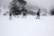 2019 Australian XC Ski Open Sprint Championship Image