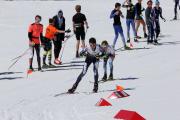 2019 Australian Junior Distance XC Ski Championships Image
