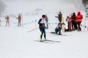 2019 Australian XC Ski Open Sprint Championship Image