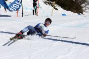 2019 Australian Junior Distance XC Ski Championships Image